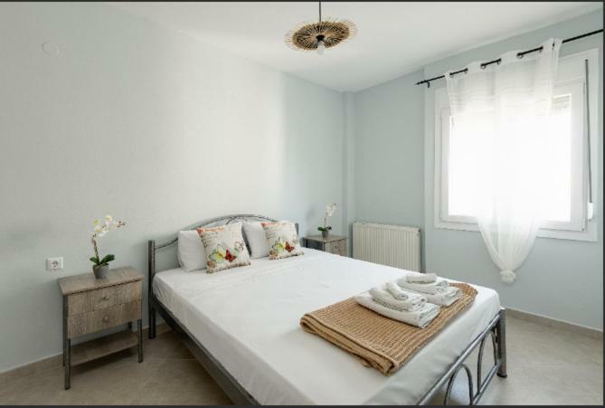 Bright Spacious Two-Bedroom Apartment Selanik Dış mekan fotoğraf